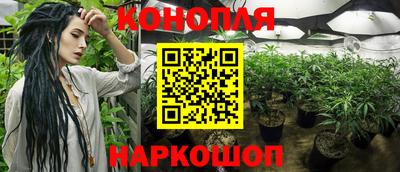 Альфа ПВП Нягань