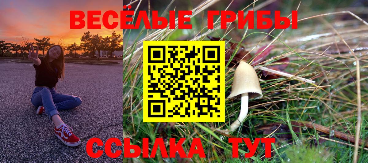 Псилоцибиновые грибы GOLDEN TEACHER Тайшет