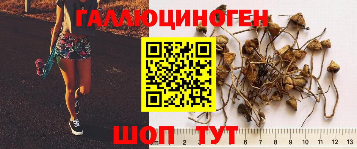 Галлюциногенные грибы MAGIC MUSHROOMS  Вход с VPN  Тайшет 