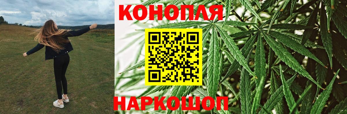 Конопля Amnesia  Каннабис конопля  МАРИХУАНА OG Kush  Тайшет  Вход с VPN 